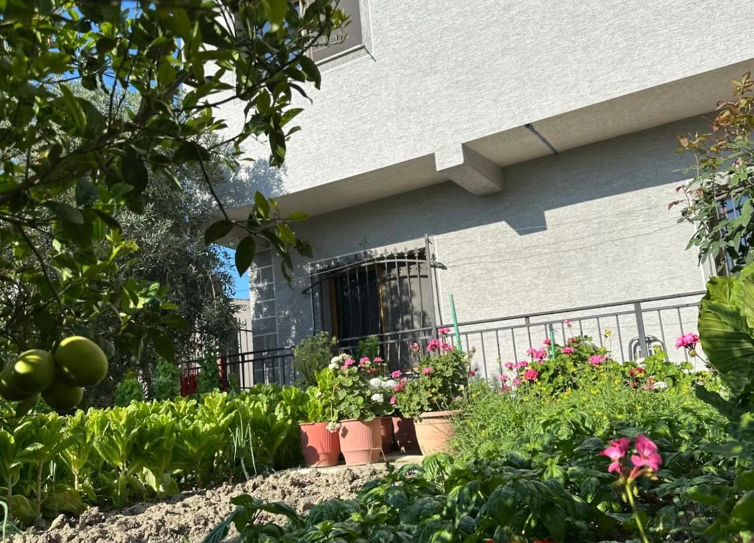 Gafko Apartments Durres